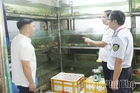 Giữ&nbsp;hình ảnh Lễ hội Đền Hùng an toàn, văn minh, thân thiện