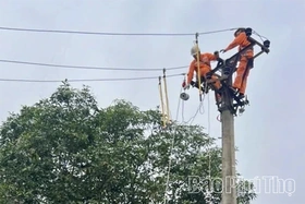 Điện lực Lập Thạch diễn tập phòng, chống thiên tai và cứu nạn 2026