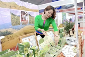 “Đánh thức” giá trị dược liệu bản địa