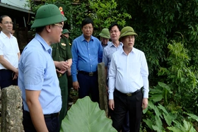 Kiểm tra, chỉ đạo công tác ứng phó, khắc phục tình trạng sụt lún, sạt lở đê tả sông Thao
