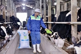 Phú Thọ xây dựng 207 chuỗi cung ứng thực phẩm nông, lâm thủy sản an toàn