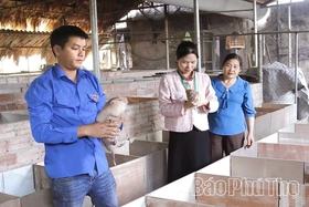 Hiệu quả từ mô hình nuôi dúi ở Vân Bán