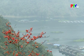 Phu Tho Culture Express - Digital transformation in tourism in Phu Tho province