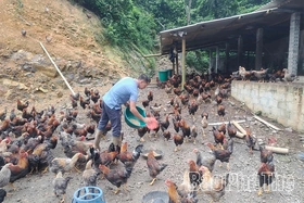 Nhân rộng các mô hình sinh kế hướng tới giảm nghèo bền vững