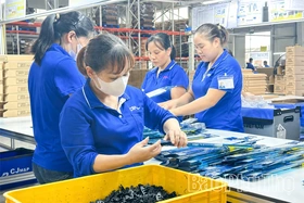 Thiết lập “kịch bản” tăng trưởng hai con số, tạo nền tảng cho chu kỳ phát triển mới của tỉnh