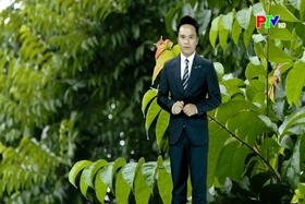 Dự báo thời tiết tỉnh Phú Thọ ngày 2/5/2026