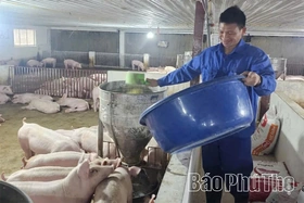 Điểm tựa vững chắc cho kinh tế nông thôn