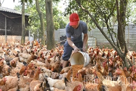Kỳ I: Nền tảng vững, phát triển bền