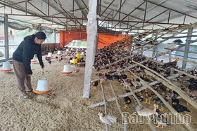 Thoát nghèo nhờ vốn vay ưu đãi