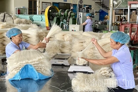 Nâng cao chất lượng sản phẩm OCOP sau công nhận