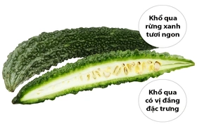 Giá cả thị trường ngày 7/5/2026
