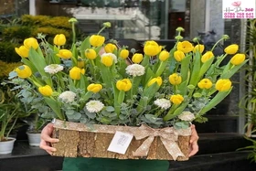 Shop Hoa Đẹp 360 Hoa Tulip Tươi Và Bó Hoa Sang Trọng Giao Nhanh 2H