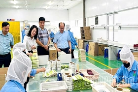 Lực đẩy phong trào nông dân sản xuất kinh doanh giỏi ở Hy Cương
