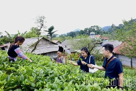 Vùng cao&nbsp;khắc&nbsp;ghi&nbsp;lời Người