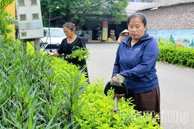 “Ngọn lửa” khơi dậy sức&nbsp;sống mới ở Tây Sơn