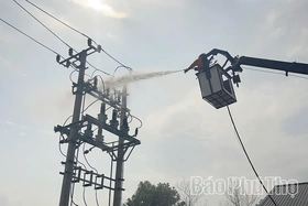 Điện lực Phú An tăng cường vệ sinh sứ, bảo dưỡng trạm biến áp bằng công nghệ hotline