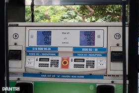 Petrolimex dừng bán xăng RON 95, chỉ bán xăng E10 từ 20/5