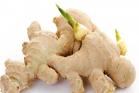 Ăn gừng mọc mầm - Những cảnh báo ít ai biết