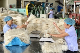 Enhancing the Quality of OCOP Products Post-Certification