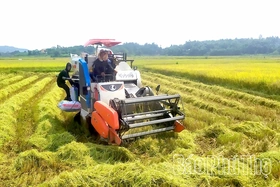 Thúc đẩy cơ giới hóa trong sản xuất nông nghiệp