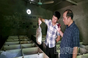 Nuôi dúi - hướng làm giàu mới ở Lai Đồng