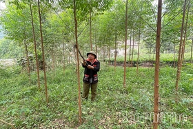 Người được dân tín, dân tin