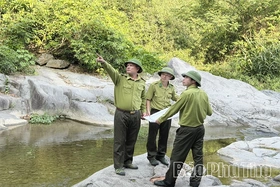 Giữ màu xanh Tam Đảo trước nguy cơ cháy rừng mùa nắng nóng