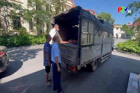 Phát hiện và xử lý hơn 4 tấn sản phẩm động vật