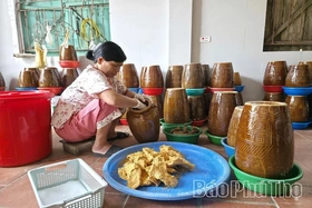 Preserving the “Soul of the Land, Flavor of the Homeland” Through Traditional Fermented Fish Craft