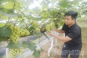 Agribank Chi nhánh Sông Lô Vĩnh Phúc ưu tiên nguồn vốn phát triển nông nghiệp, nông thôn