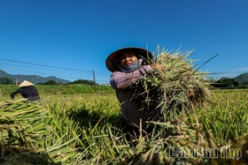 Vất vả mưu sinh mùa nắng nóng