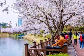 Các điều kiện giúp khách Việt xin được visa Hàn Quốc 10 năm