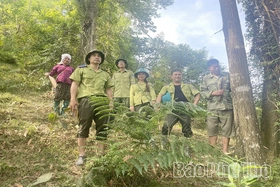 Bảo tồn thiên nhiên vì phát triển bền vững