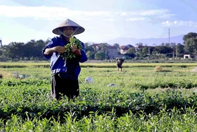 Thời tiết ngày 28/5: Bắc Bộ nắng nóng trước khi đón mưa dông, Nam Bộ mưa to cục bộ