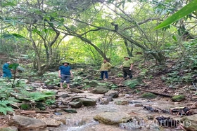 Bảo vệ rừng trong cao điểm nắng nóng