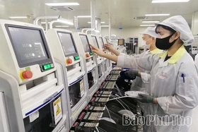 The “Green Lane” Catalyst: Magnetizing High-Tech FDI Inflows
