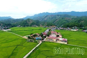 Đất rừng khơi mạch tiềm năng