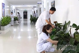 Nơi “sức khỏe xanh” nảy mầm
