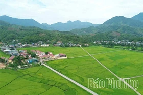 Xuân Đài tạo nền tảng phát triển nông nghiệp bền vững