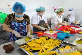 Mở rộng thị trường xuất khẩu trong thời kỳ hội nhập