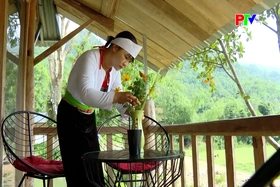 Ethnic cultural identity drives tourism appeal