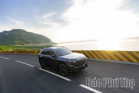 Honda Việt Nam: Tất cả ô tô, xe máy chính hãng đều sử dụng được xăng sinh học E10