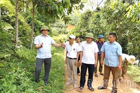Dân vận để thành công