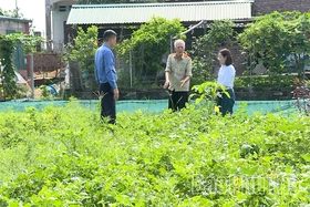 Xác định lại ranh giới, cấp Giấy chứng nhận quyền sử dụng đất nông nghiệp theo đơn đề nghị của công dân