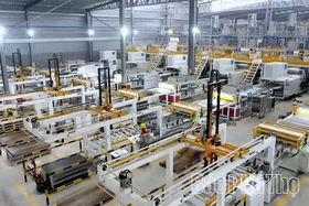 AMY GRUPO: Một thập kỷ xây nền cho những khát vọng lớn