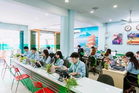Đất Việt Tour: Cầu Nối Đưa Du Khách Khám Phá Vẻ Đẹp Duyên Hải Miền Trung