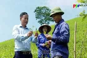 Phu Tho News on June 18, 2026