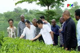 Phu Tho News on June 20, 2026