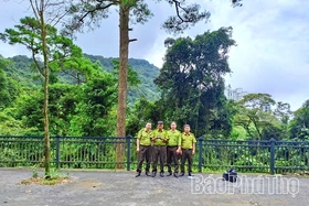 Hạt Kiểm lâm Tam Đảo - Tam Dương ứng dụng công nghệ trong quản lý, bảo vệ rừng