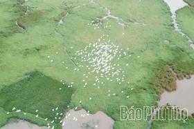 Hai Luu Stork Sanctuary: An Alluring Eco-Tourism and Experiential Destination